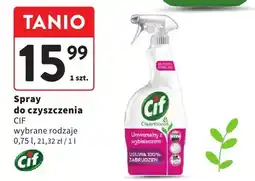 Intermarche Spray do czyszczenia oferta