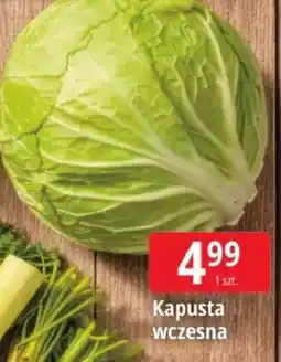 E.Leclerc Kapusta wczesna oferta
