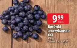 E.Leclerc Borówki amerykańskie XXL oferta