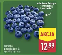ALDI Borówka amerykańska oferta