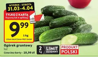 Intermarche Ogórek gruntowy luz oferta