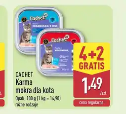 ALDI Mokra karma dla kota Cachet oferta
