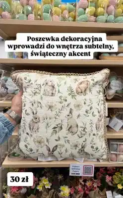 Pepco Poszewka dekoracyjna oferta