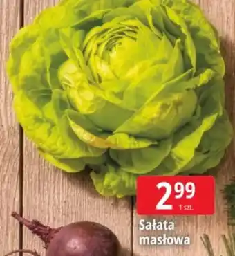 E.Leclerc Sałata masłowa oferta