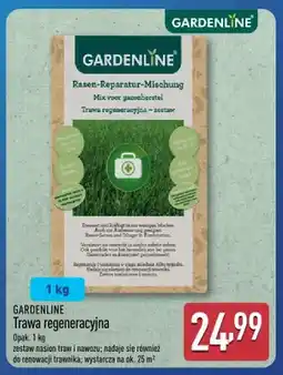 ALDI Trawa regeneracyjna oferta