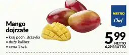 Makro Mango dojrzałe oferta