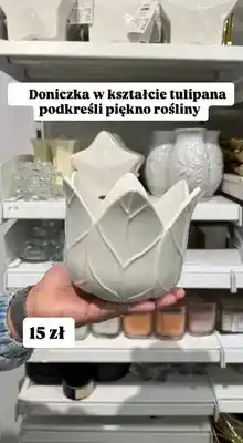 Pepco Doniczka w kształcie tulipana oferta
