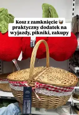 Pepco Kosz z zamknięciem oferta