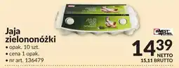 Makro Jaja zielononóżki oferta