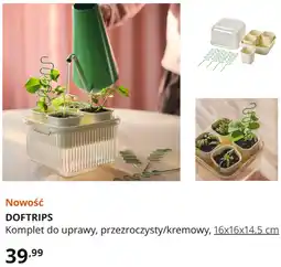 IKEA DOFTRIPS Komplet do uprawy, przezroczysty/kremowy, 16x16x14.5 cm oferta