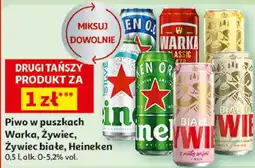 Auchan Piwo Tyskie oferta