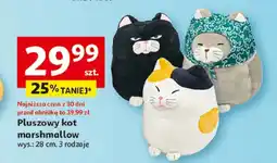Auchan Pluszowy kot marshmallow oferta