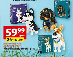 Auchan Klocki konstrukcyjne - pies oferta