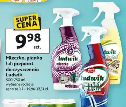 Auchan Mleczko, pianka lub preparat do czyszczenia Ludwik oferta