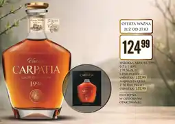 Dino Wódka Carpatia oferta