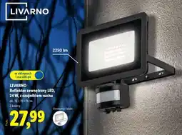 Lidl LIVARNO Reflektor zewnętrzny LED oferta
