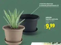 Lidl PARKSIDE Doniczka z podstawką oferta