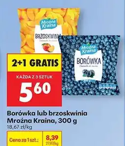 Biedronka Borówka lub Brzoskwinia Mroźna Kraina, 300 g oferta