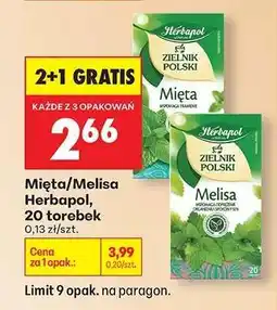 Biedronka Mięta/Melisa Herbapol, 20 torebek oferta