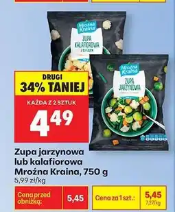 Biedronka Zupa jarzynowa lub kalafiorowa Mroźna Kraina , 750 g oferta