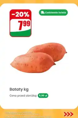 Dino Bataty oferta