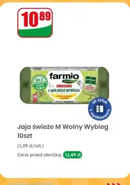 Dino Jaja świeże M Wolny Wybieg 10 szt oferta