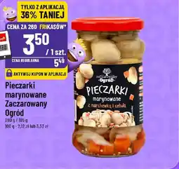 Polomarket Pieczarki marynowane Zaczarowany Ogród oferta