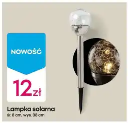 Pepco Lampka solarna oferta