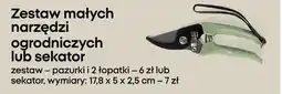 Pepco Zestaw narzędzi ogrodniczych: sekator oferta