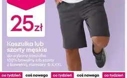 Pepco Szorty męskie oferta