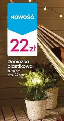 Pepco Doniczka plastikowa oferta