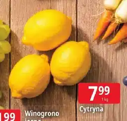 E.Leclerc Cytryny oferta