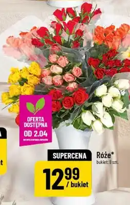 Polomarket Róże oferta