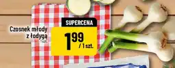 Polomarket Czosnek młody z łodygą oferta
