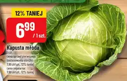 Polomarket Kapusta młoda oferta