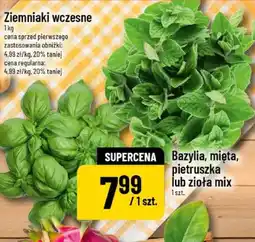 Polomarket Bazylia, mięta, pietruszka lub ziołą mix oferta