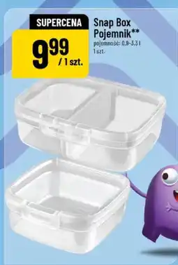 Polomarket Pojemnik oferta