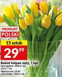 Twój Market Bukiet tulipan cięty, 1 kpl oferta