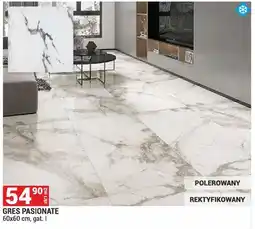 Merkury Market Płytka Gres Pasionate oferta