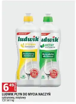 Merkury Market Płyn do mycia naczyń Ludwik oferta