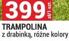 Merkury Market Trampolina z drabinką, różne kolory oferta