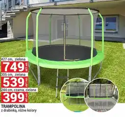 Merkury Market Trampolina z drabinką, różne kolory 244 cm, czarna, zielona oferta