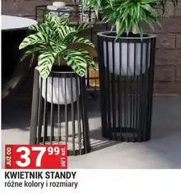 Merkury Market Kwietnik standy różne kolory i rozmiary oferta