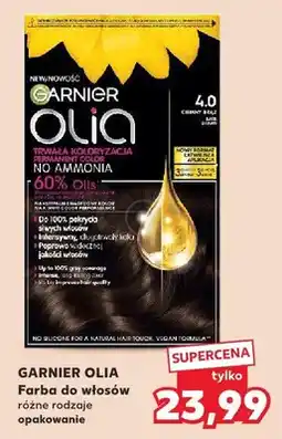 Kaufland Farba do włosów Olia różne rodzaje oferta