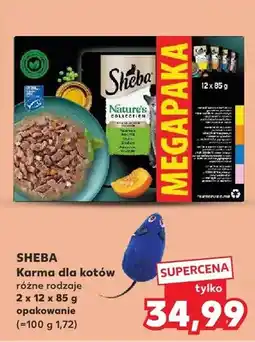 Kaufland Karma dla kotów różne rodzaje 2 x 12 x 85 g opakowanie oferta