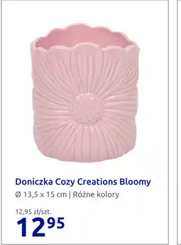 Action Doniczka Cozy Creations Bloomy oferta
