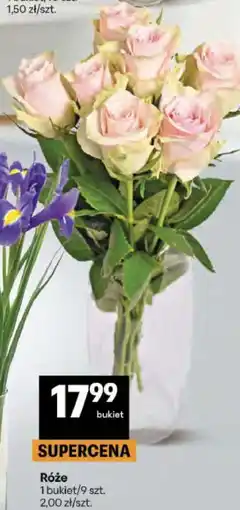 Delikatesy Centrum Róże oferta