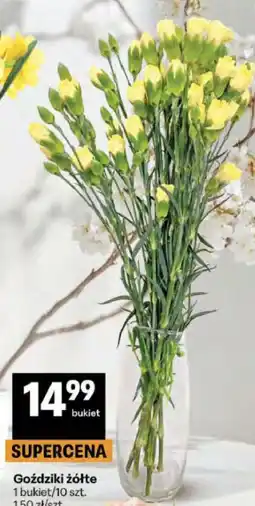 Delikatesy Centrum Goździki żółte oferta