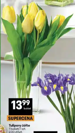 Delikatesy Centrum Tulipany żółte oferta