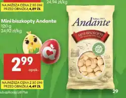Delikatesy Centrum Mini biszkopty Andante oferta